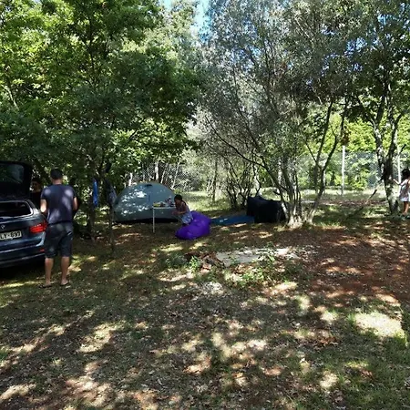 Camp *