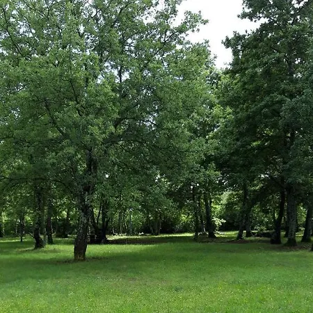 Camping Camp
