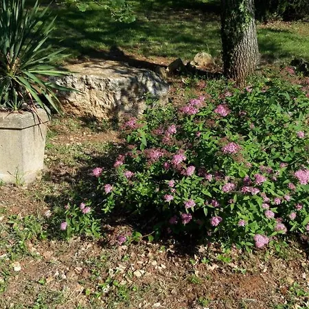 Camp Poreč